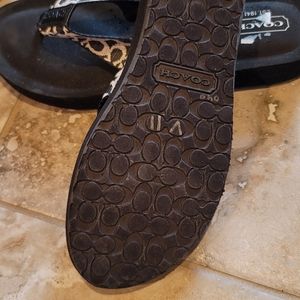 Coach flip flops